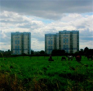Three Tower Blocks - Moreton photo