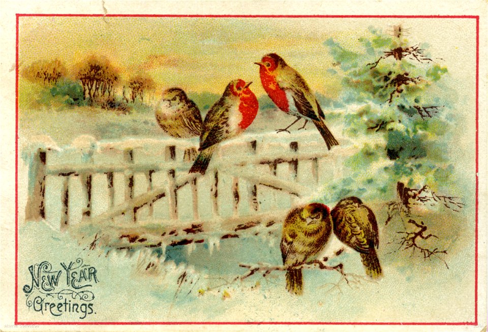 "New Year greetings" - New Year card, 1904
