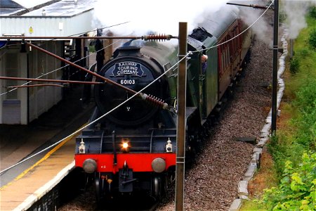 60103 Flying Scotsman at Oakleigh Park with 'The White Rose'