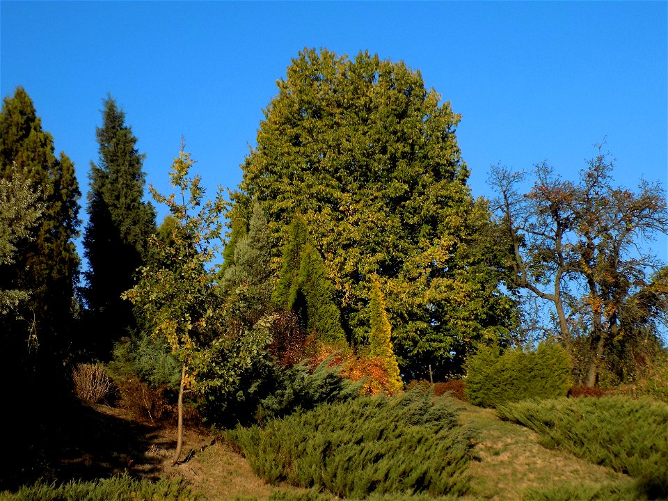 Hryshko National Botanical Garden