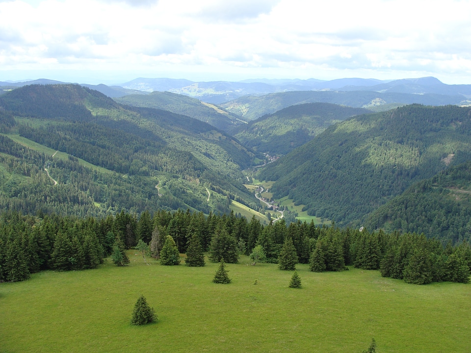 Upper meadow valley in the Black Forest