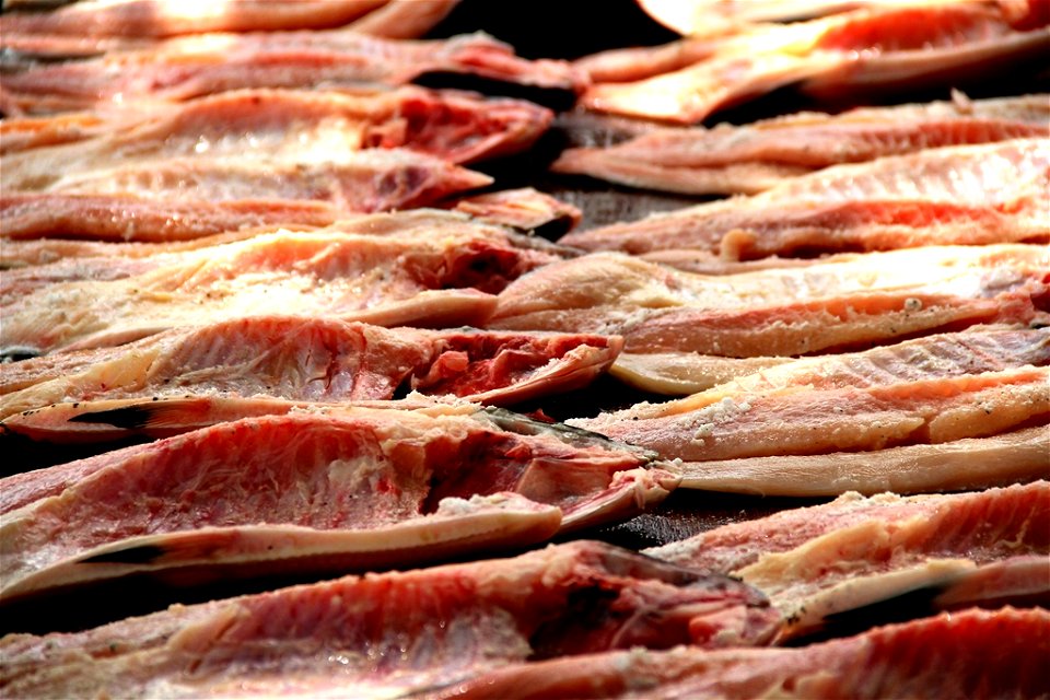 Peixe Tambaqui_Foto_Daiane Mendonça (27)
