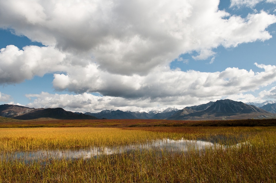 Ephemeral pond Denali National Park & Preserve