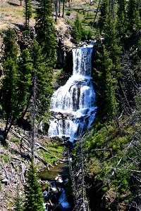 Waterfalls through the pines photo