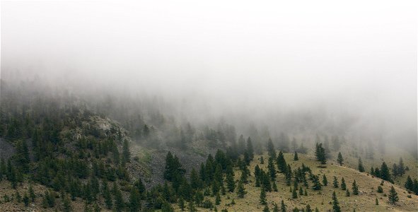 Misty hills along Rt 89 in Montana