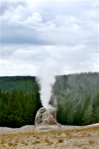 Lone Star Geyser photo