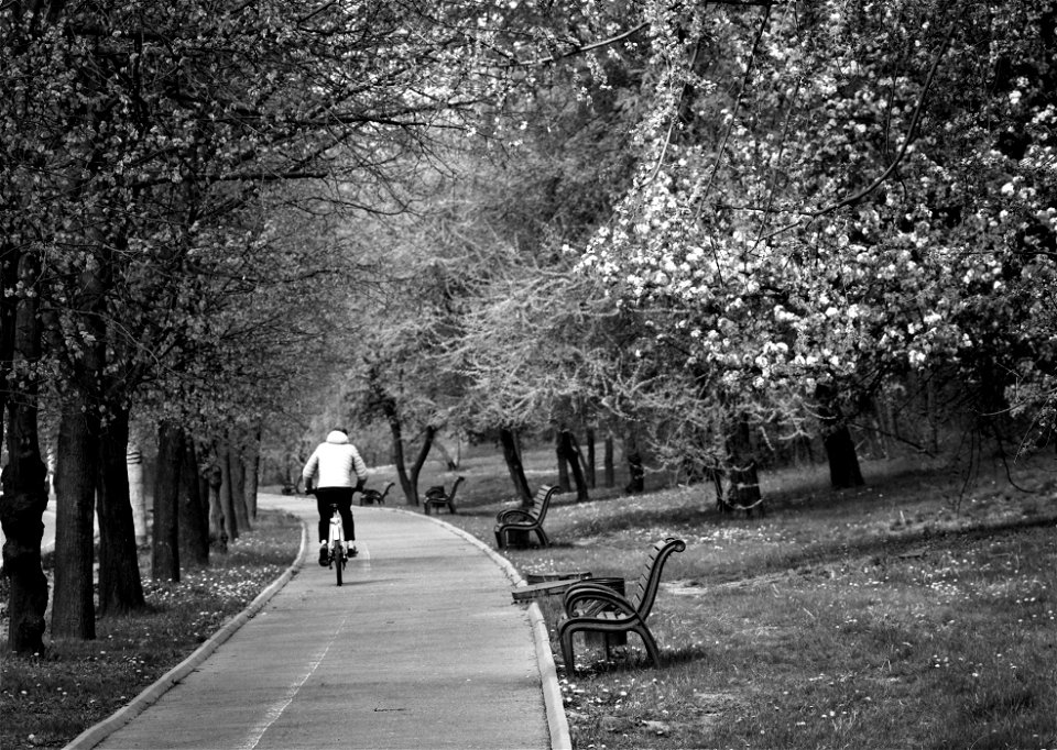 Riding a bicycle