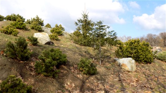 Hryshko National Botanical Garden