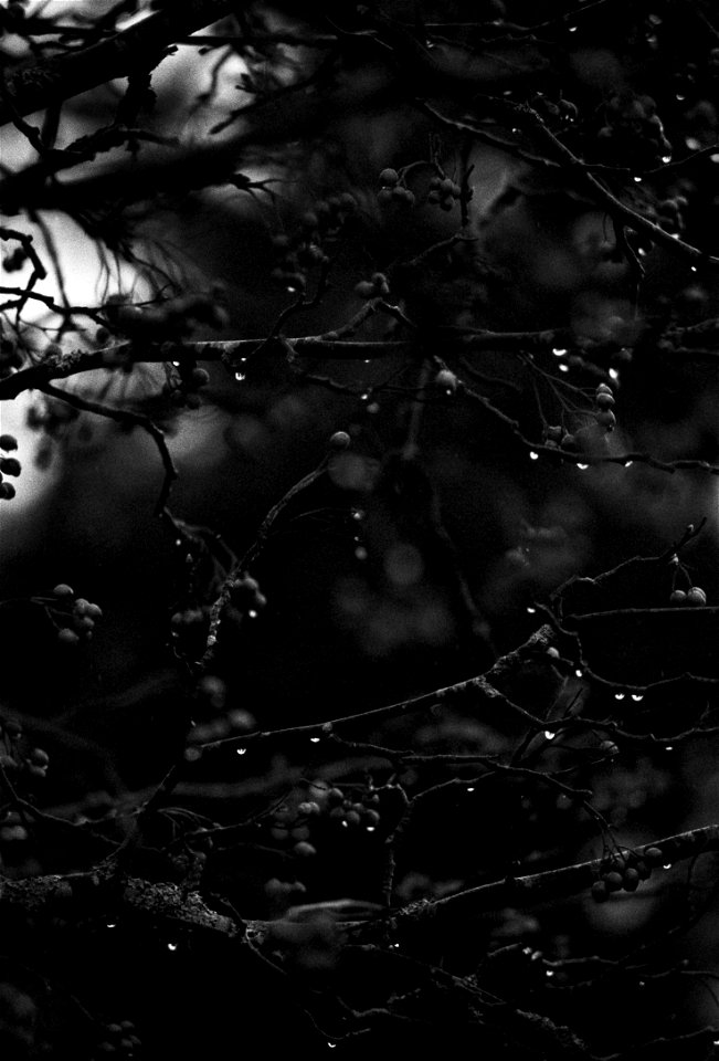 Rainy day in October