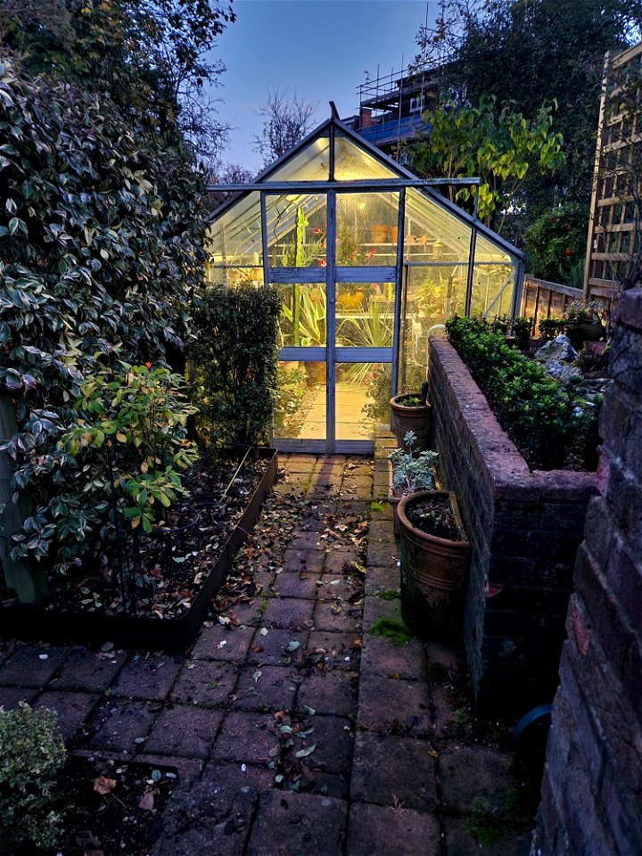 Greenhouse in November photo