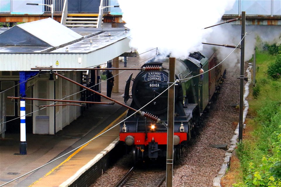 60103 Flying Scotsman at Oakleigh Park with 'The White Rose'