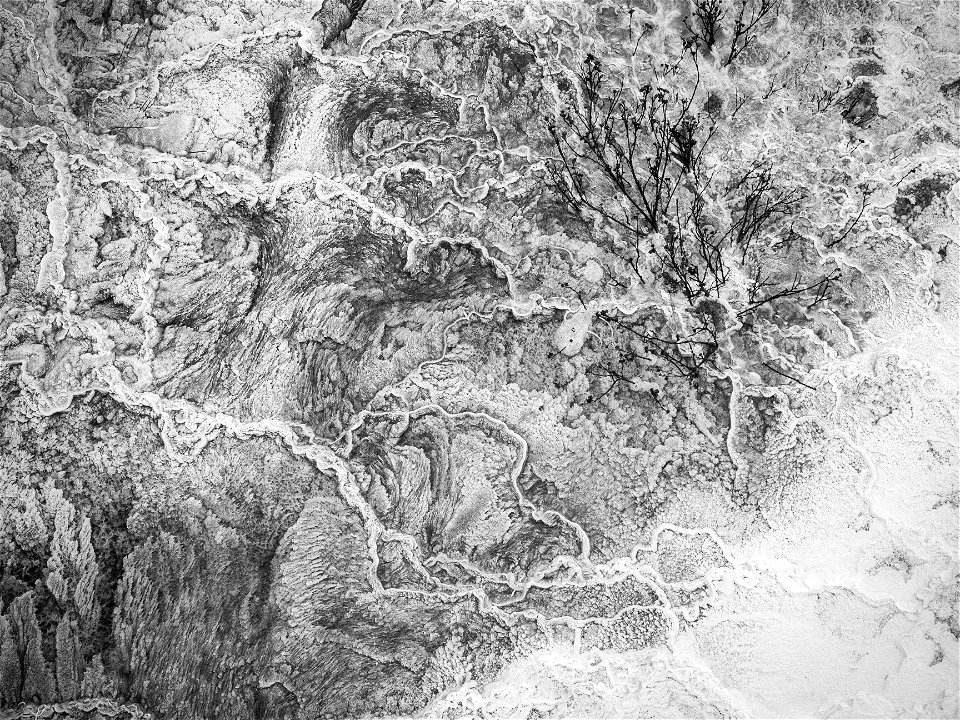 Yellowstone Texture