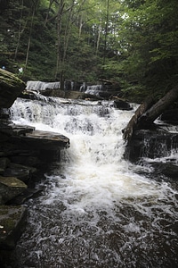 Ricketts Glen State Park