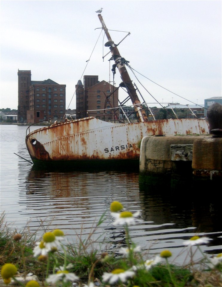 Sarsia - Birkenhead Docks