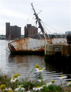Sarsia - Birkenhead Docks photo