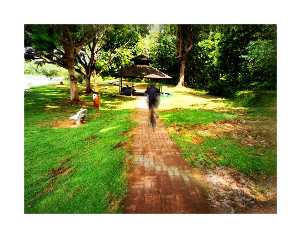 Cycling in the park photo