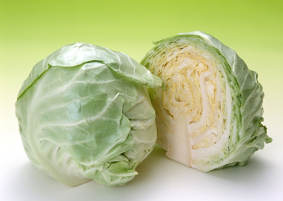 cabbages cut in half isolated on white background