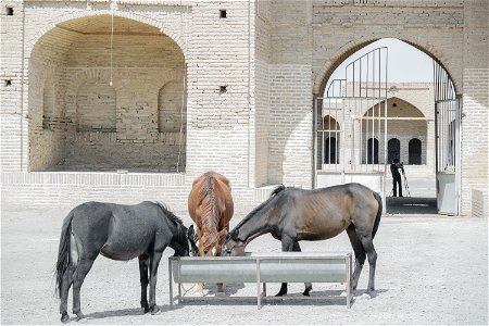 کاروانسرای دیرگچین
