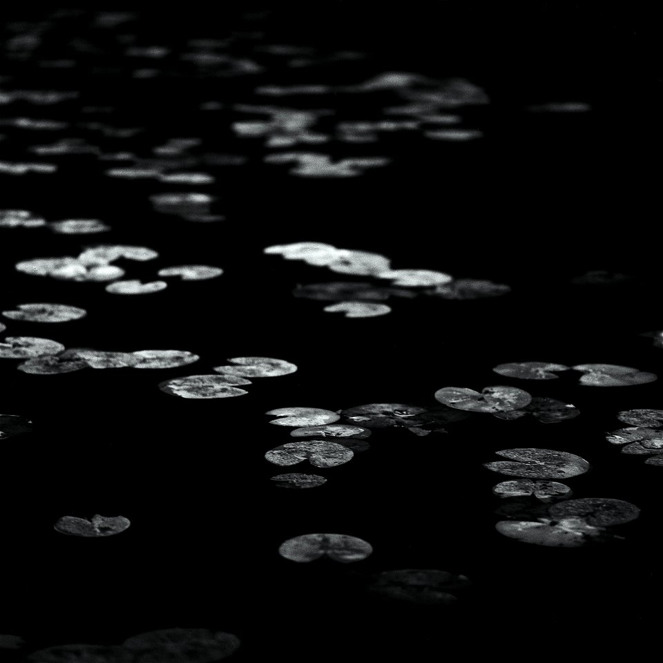 On the surface