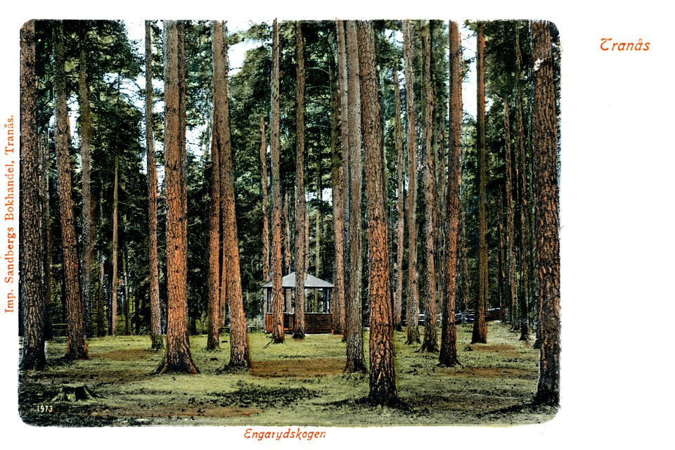 353 Hubbarpskogen 1904