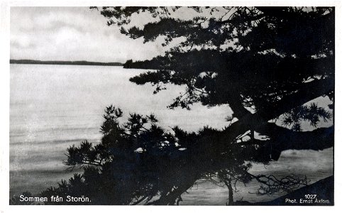 037 Sommen från Storön