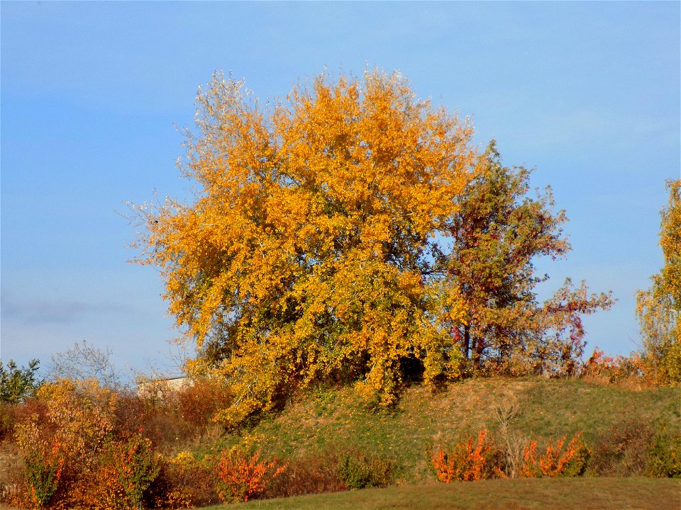 Hryshko National Botanical Garden