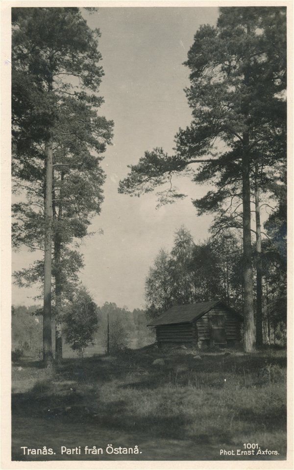 046 Parti från Östanå