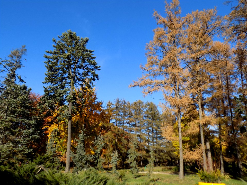 Hryshko National Botanical Garden