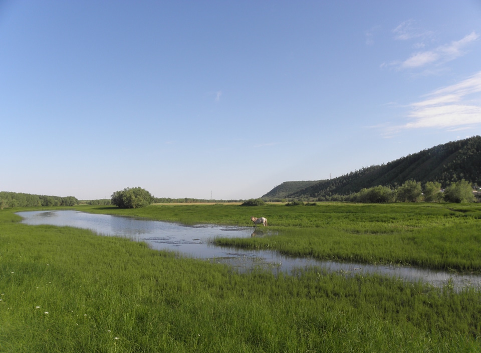 Pond and Grasslands near the village of Old Tabaga