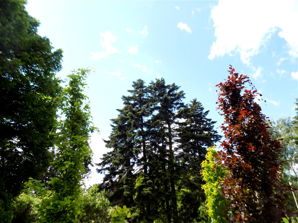 Hryshko National Botanical Garden