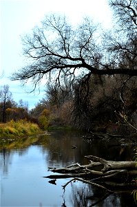 autumn on the river photo