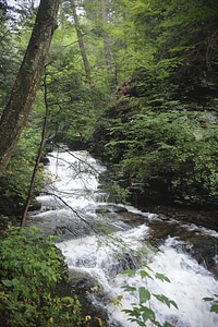 Ricketts Glen State Park