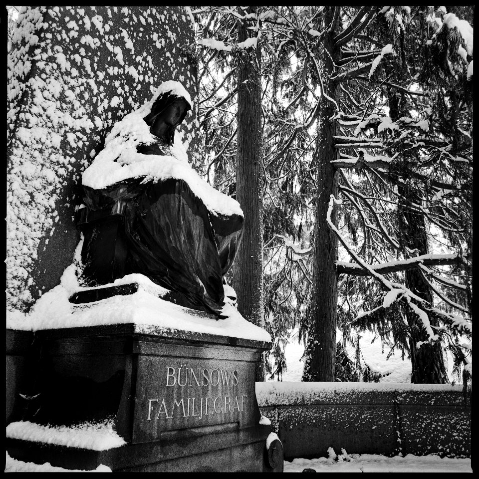 Winter contemplations III