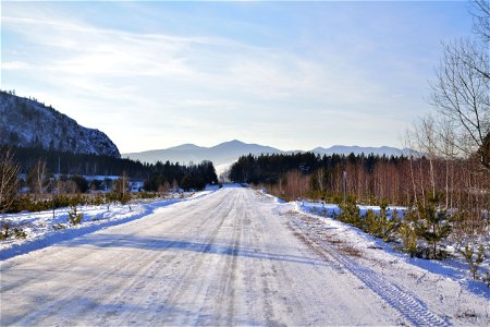 winter road to the blue