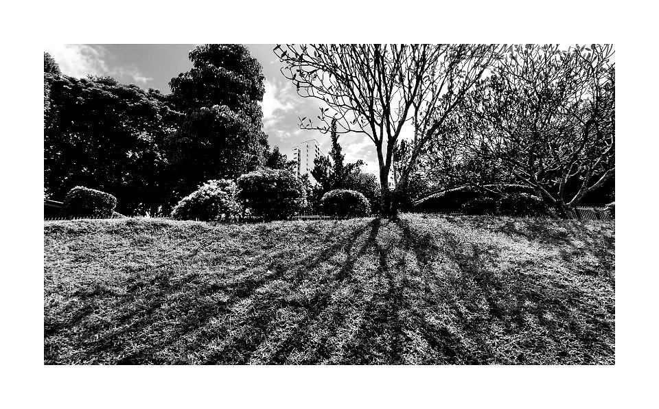 Shadow
