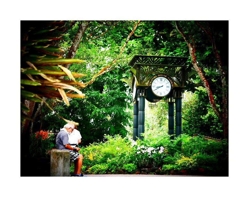 Botanic Gardens