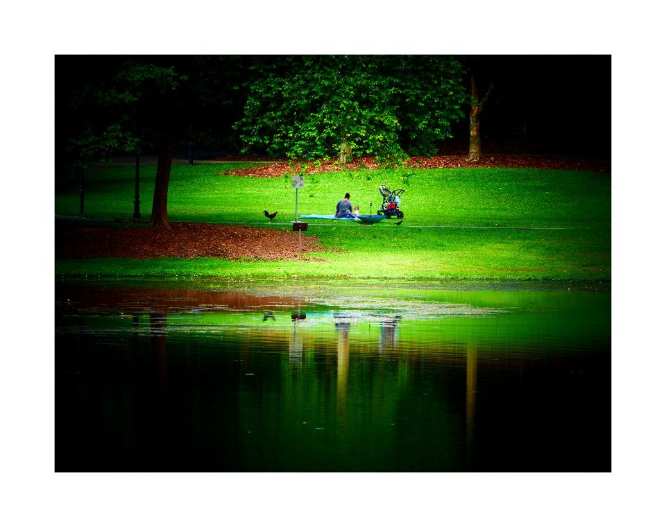 Botanic Gardens - picnic
