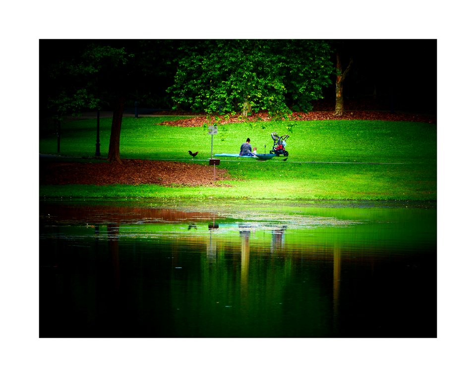 Botanic Gardens - picnic photo