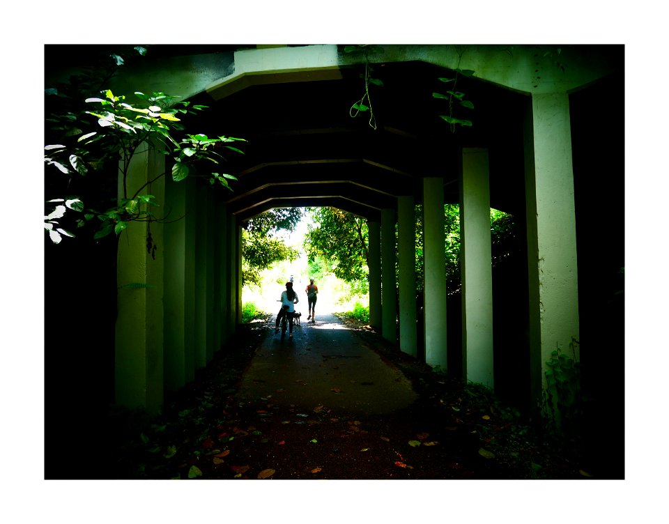 Green corridor - underpass