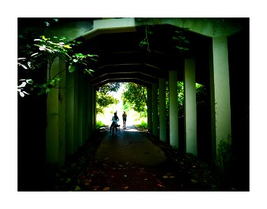 Green corridor - underpass photo