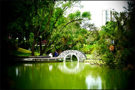 Toa Payoh garden