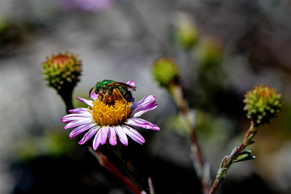 20210611-IMG_3588