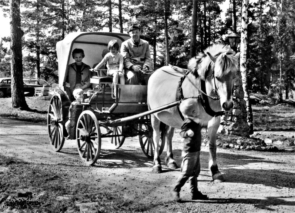 369 Turisthotellet i Sunnhultsbrunn (Hästtransport)