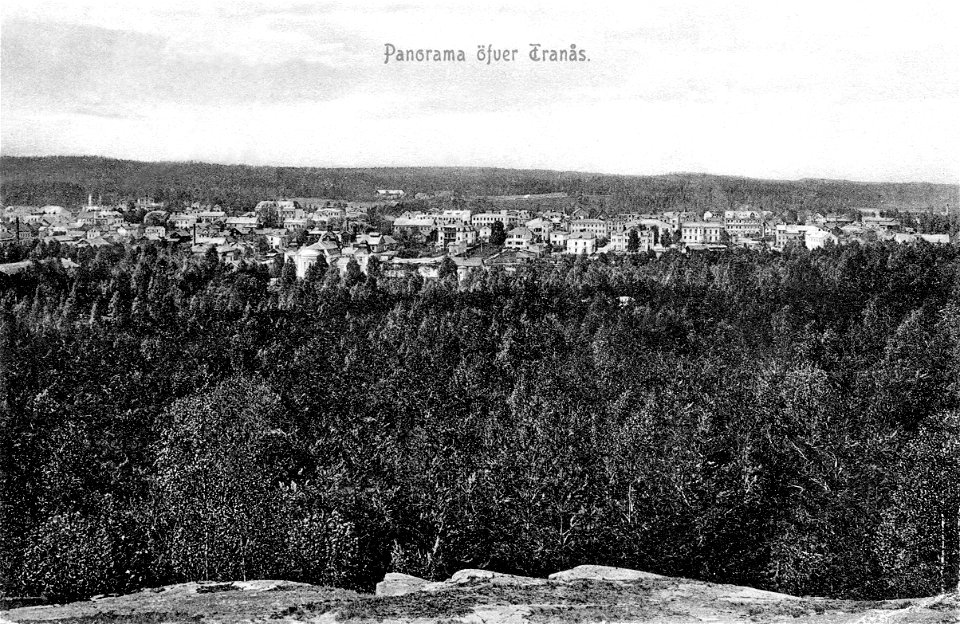 069 Parti över Tranås 1915