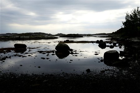 IMG_8761