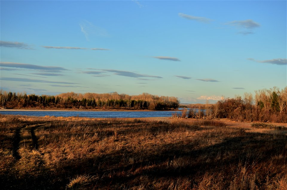 Autumn on the Yenisei River