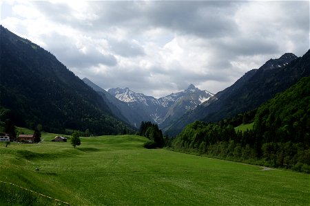 IMG_6892