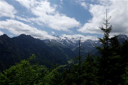 IMG_7119