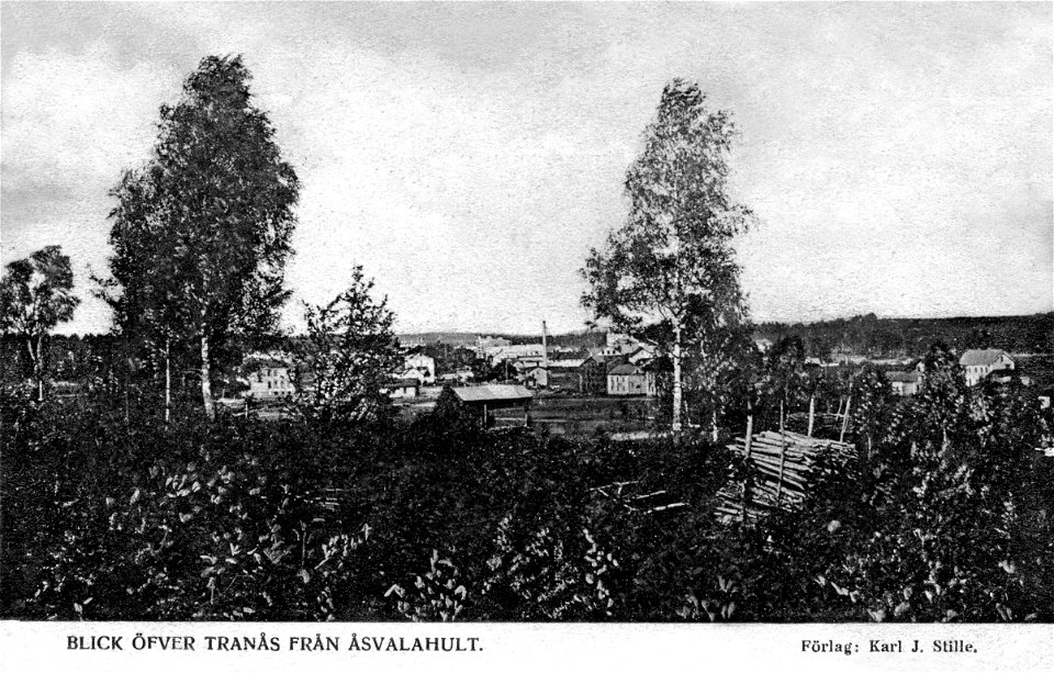299 Tranås sett från Åsvalehult 1905