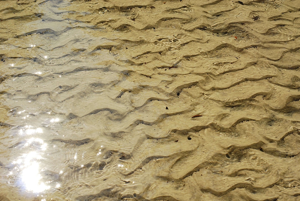 Liquid transparent clear
